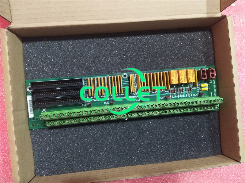 DS200DTBAG1A DS200DTBAG1A