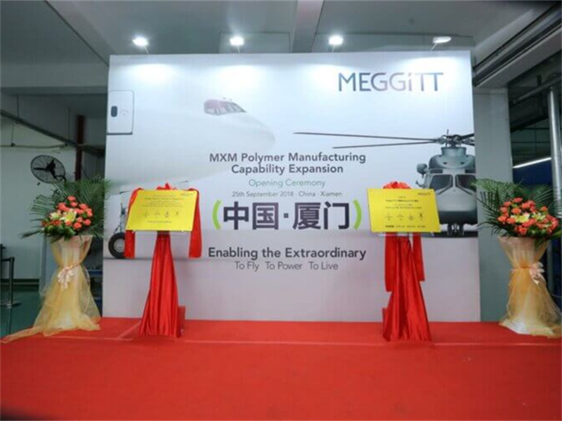 Meggitt Vibro Meter Meggitt Vibro Meter