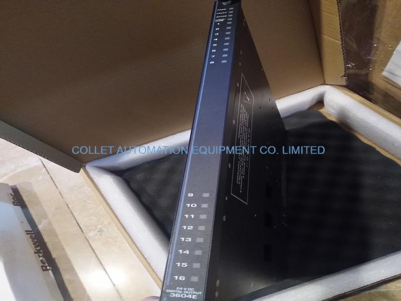 MP3101/Triconex Module