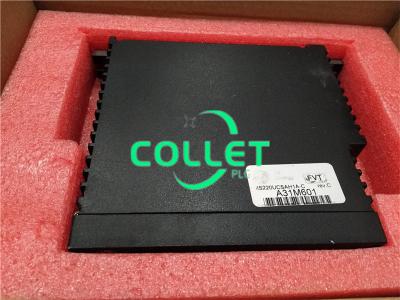 IS220UCSAH1A GE Speedtronic MKV