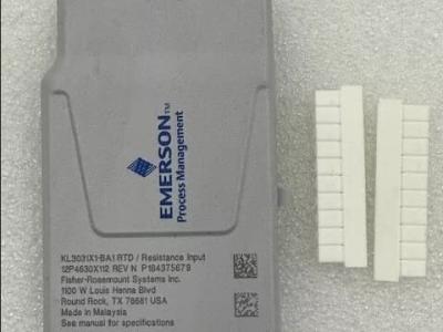 EMERSON DELTAV KL3031X1-BA1 12P4630 RTD RESISTANCE CHARMS SE4303T03