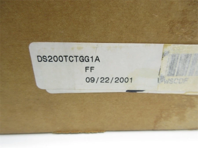 DS200TCTGG1A